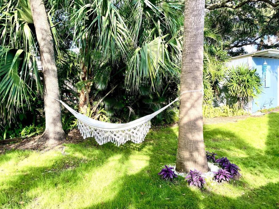 Cozy Sanctuary Minutes From The Bay And Beaches Tampa Exterior photo
